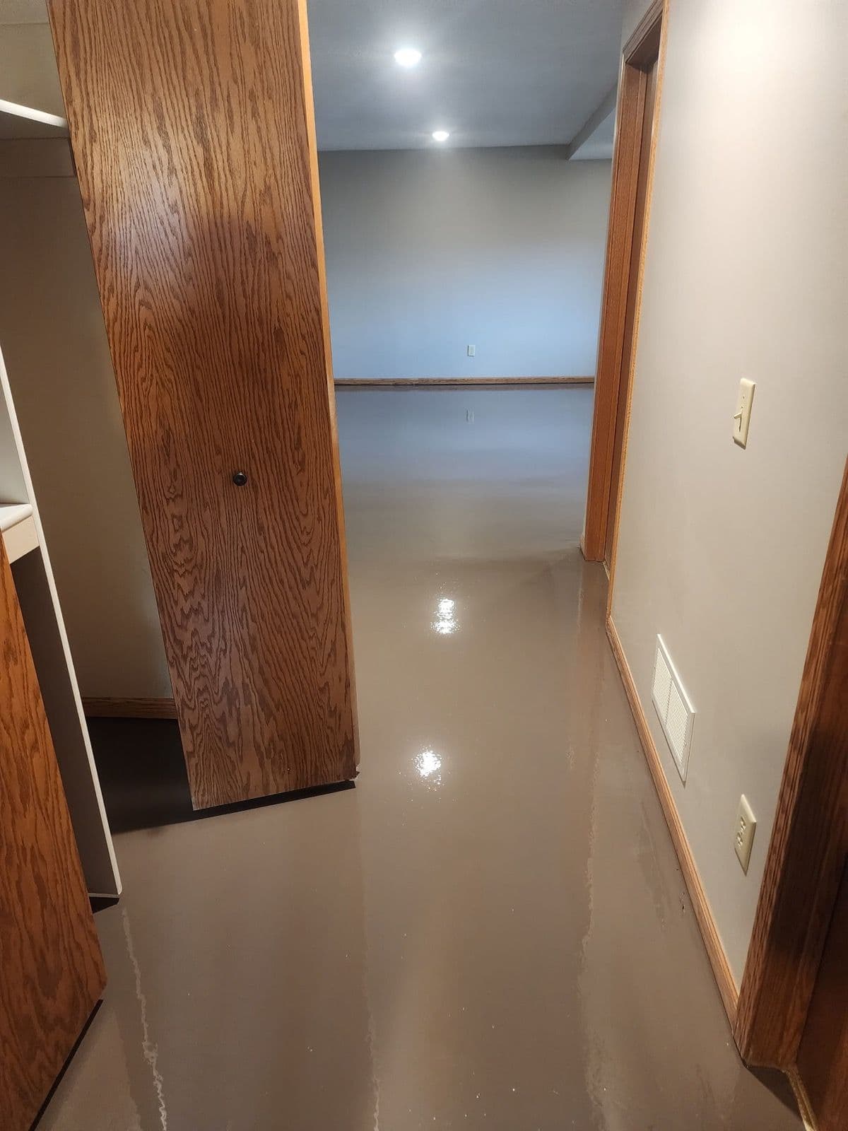 Stunning Metallic Epoxy Floor in Lakeville MN